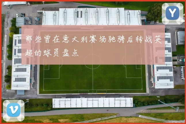 那些曾在意大利赛场驰骋后转战英超的球员盘点