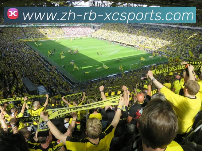 杏彩体育服务体系